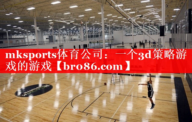 mksports体育公司：一个3d策略游戏的游戏