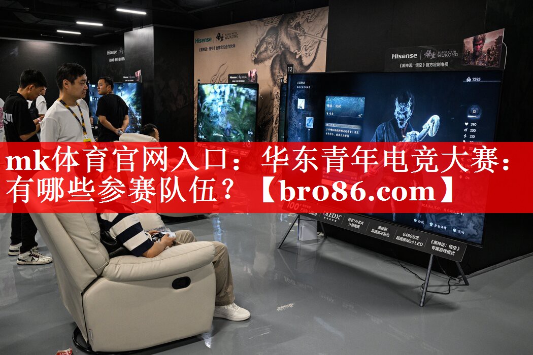 mk体育官网入口：华东青年电竞大赛：有哪些参赛队伍？