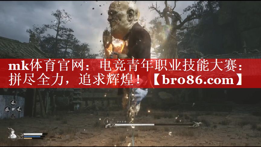 电竞青年职业技能大赛：拼尽全力，追求辉煌！