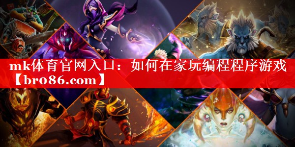 如何在家玩编程程序游戏